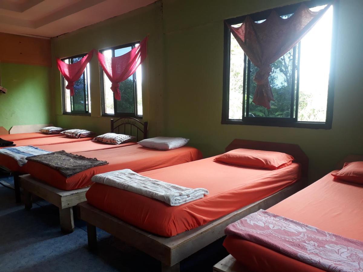 Mulu D Cave Homestay Kültér fotó